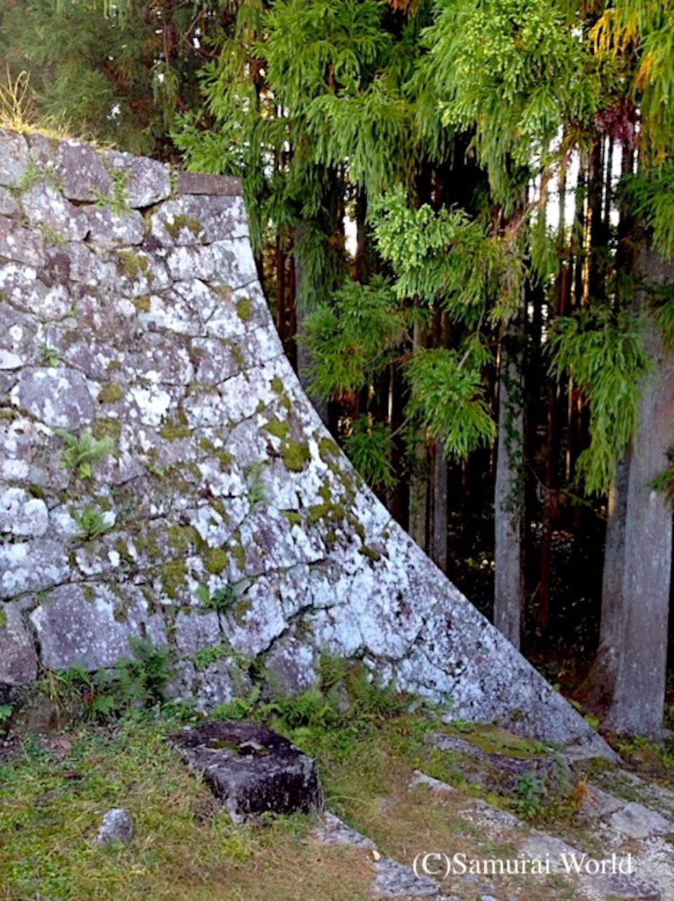 Iwamura 3