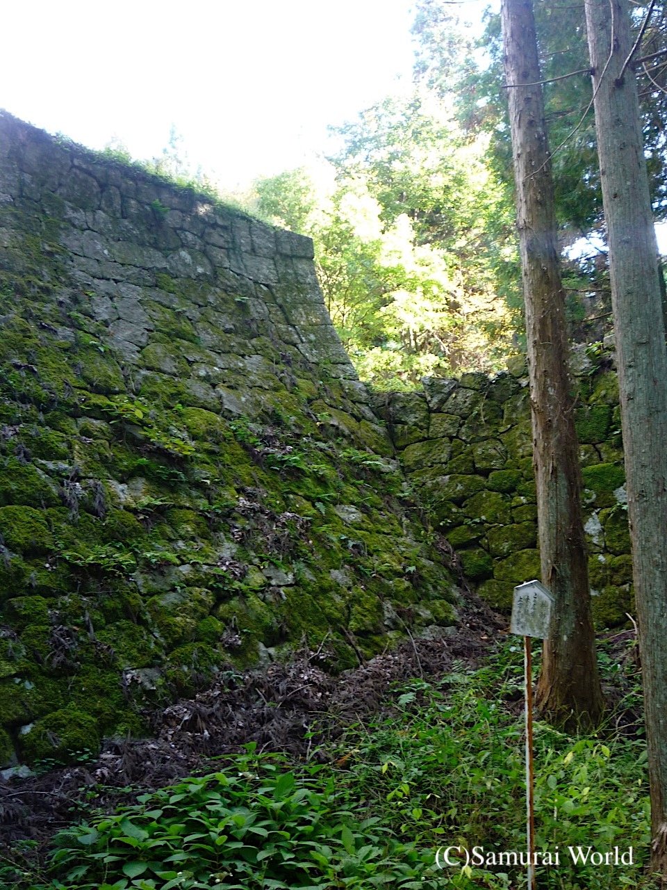 Iwamura 4