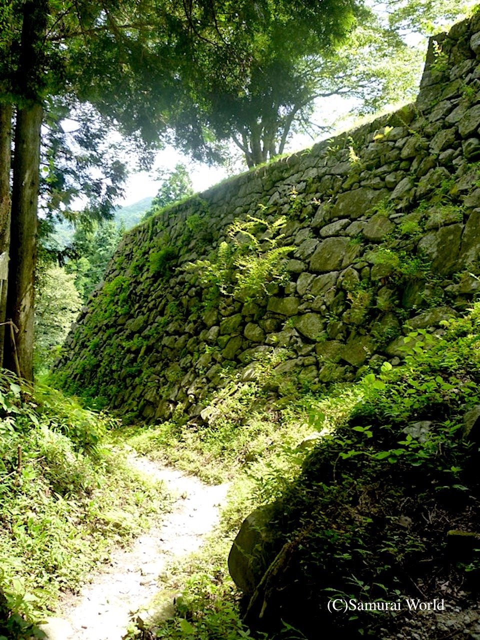Iwamura 5